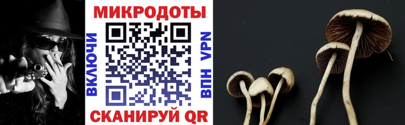 Галлюциногенные грибы MAGIC MUSHROOMS  Мещовск 